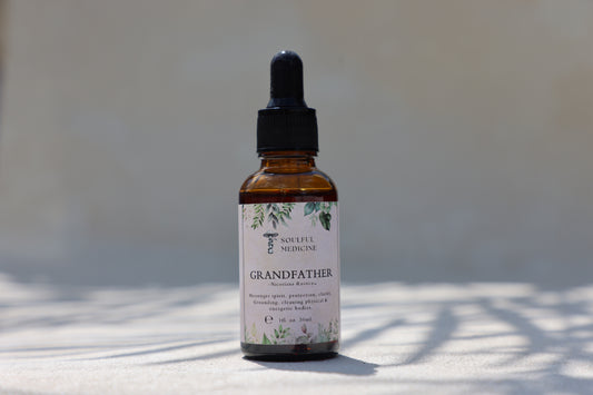 Grandfather Plant Tincture