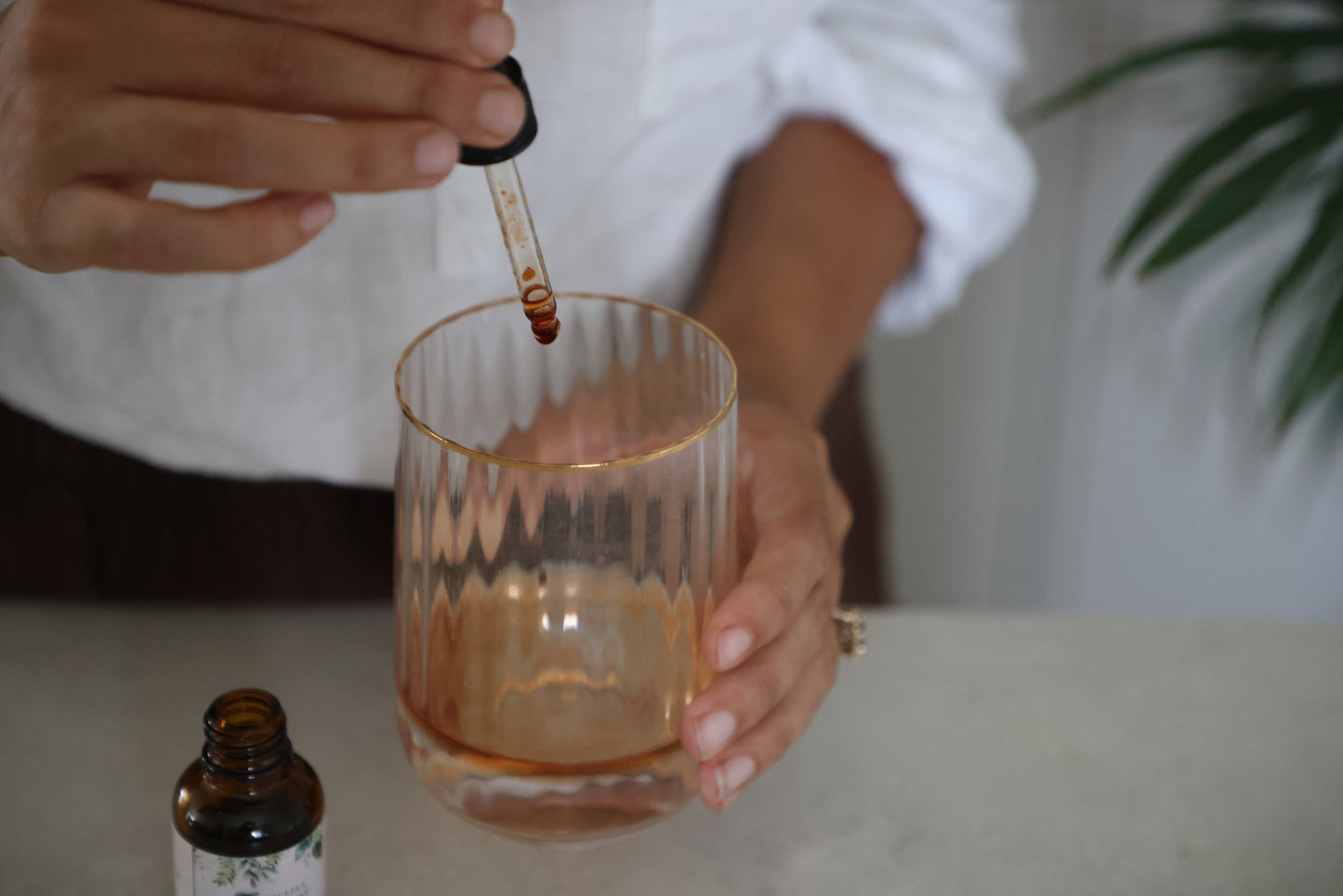 Chuchuhuashi Plant Immersion Tincture