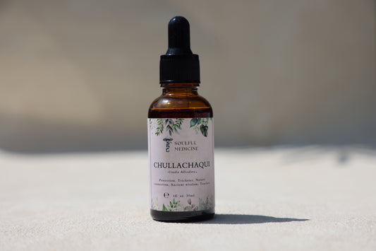 Chullachaqui Plant Immersion Tincture