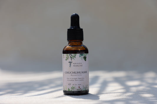Chuchuhuashi Plant Immersion Tincture