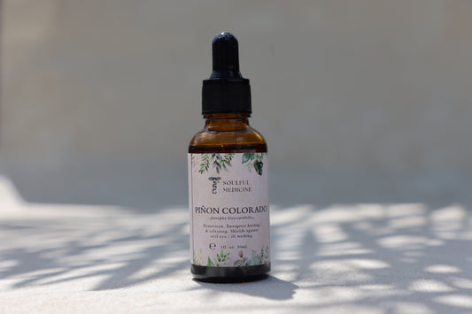 Piñon Colorado Plant Immersion Tincture