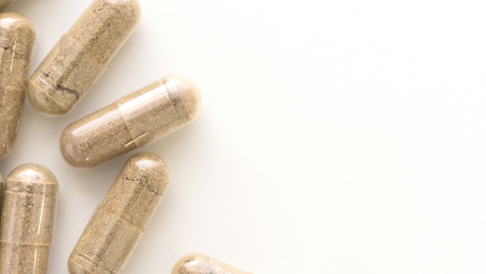 Fungi Allies Capsules